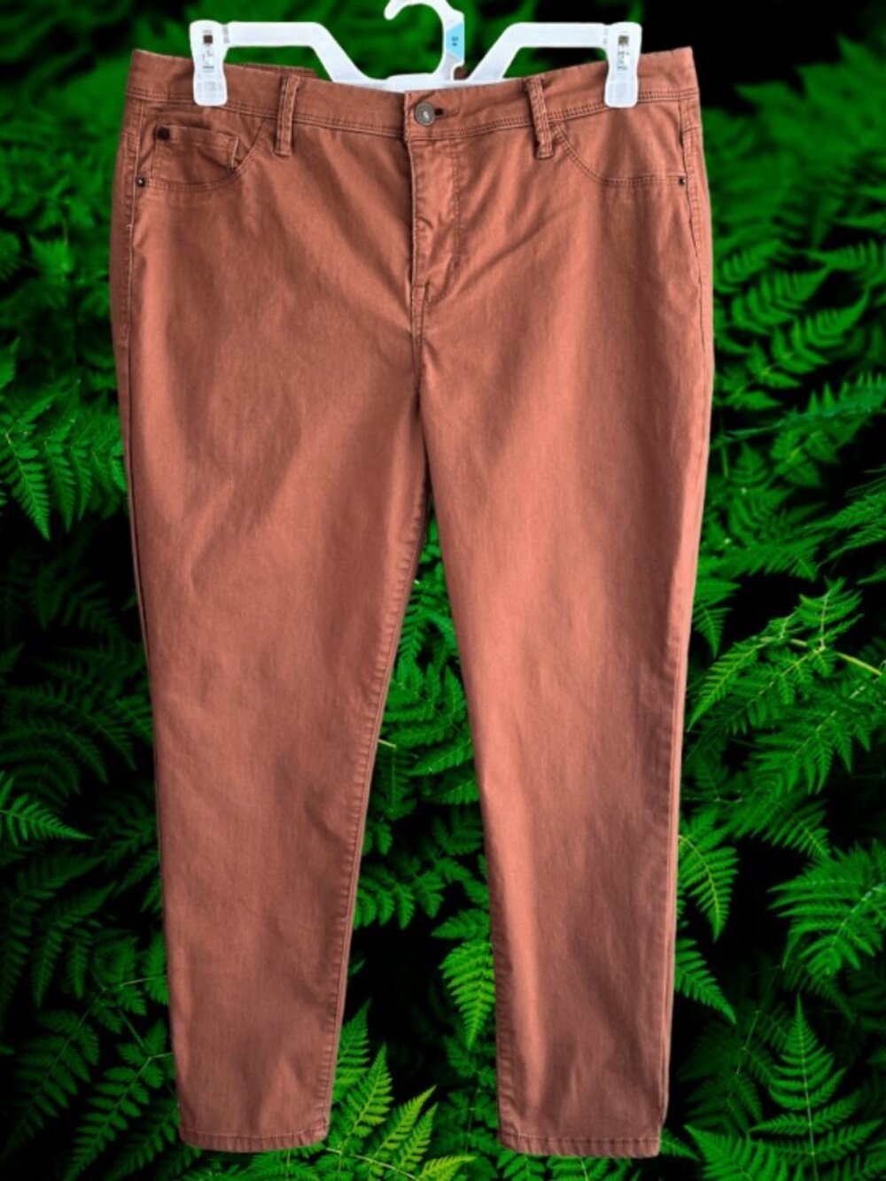 Curve Appeal Womens Minimalist Jegging Pants Tummy Tucking Shaping Rust Size 16